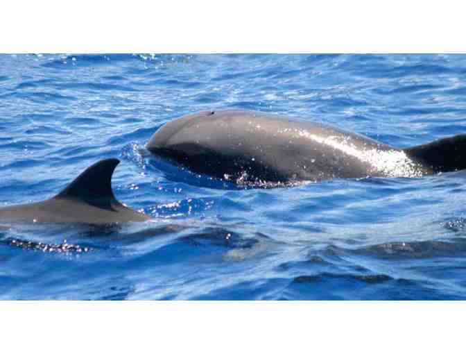 Niihau and Napali Super Tour for 2 people on Holo Holo