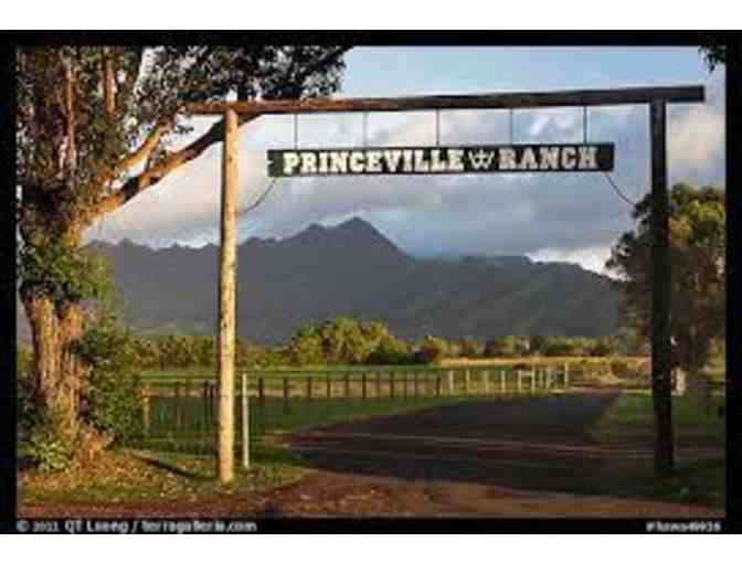 1 Hour Horsemanship Lesson for Children and Adults, Arena Riding