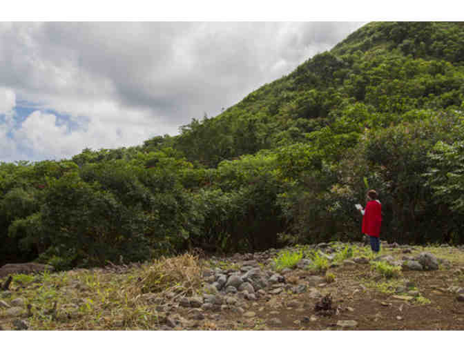 Private guided hike for up to 8 at Hawaii Land Trust's Preserves (Kaua'i, Maui, or Oahu)
