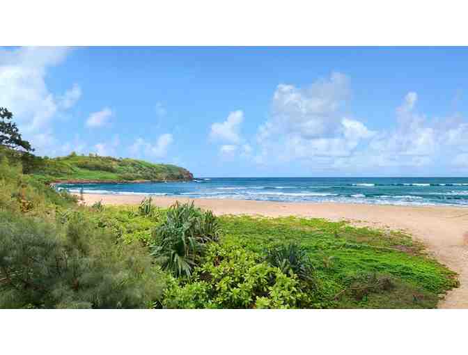 Private guided hike for up to 8 at Hawaii Land Trust's Preserves (Kaua'i, Maui, or Oahu)