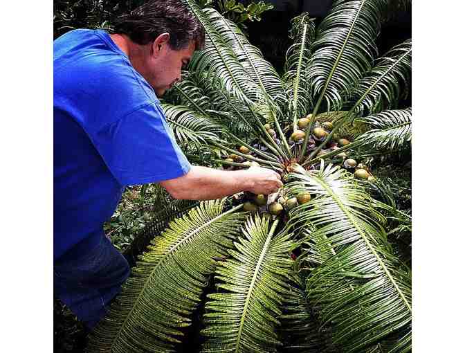 Exclusive Garden Picnic Adventure for up to 8