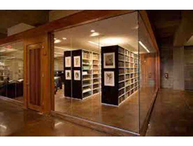 Banks' Florilegium Print - Berberis Ilicifolia and VIP Tour of NTBG's Rare Book Room