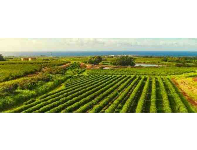 Private Kauai Coffee Estate Tour for 4 and $50 Gift certificate