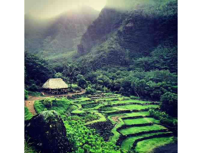 Private Limahuli Garden Tour for four