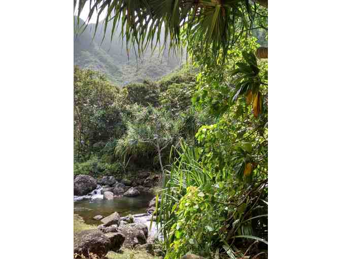 Private Limahuli Garden Tour for four