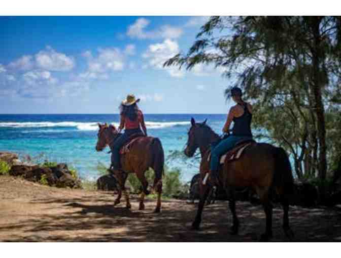 Mahaulepu Ride for 2 people - CJM Stables