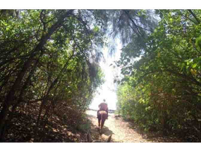 Mahaulepu Ride for 2 people - CJM Stables