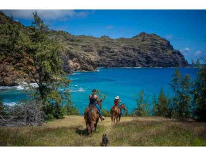 Mahaulepu Ride for 2 people - CJM Stables