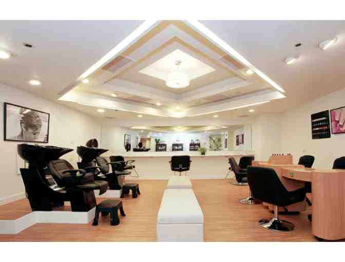 $325 Gift card for Alexander Day Spa and Salon in Lihue