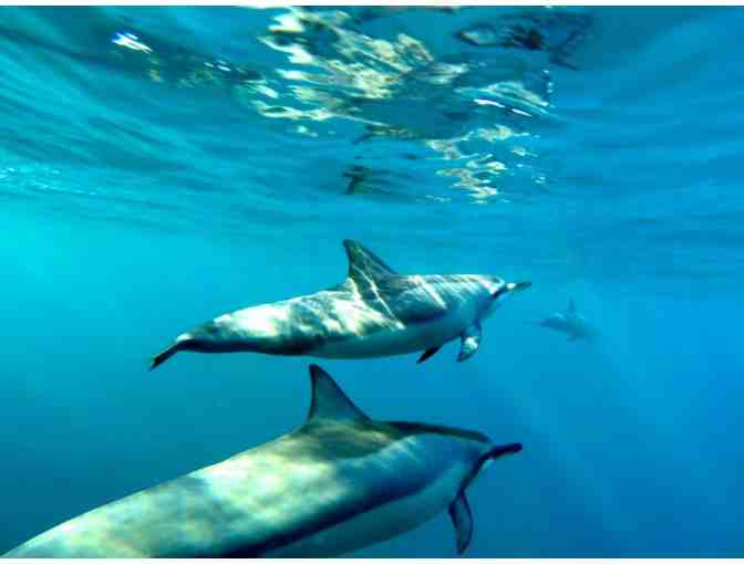 Na Pali Express Catamaran Snorkel tour for 2