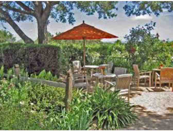 Saintsbury Member for a day with exclusive membership allocation (3 bottles)