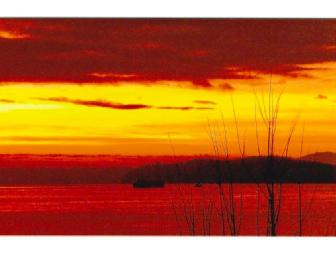 A Week in Seattle's Beautiful Waterfront Landing Condo in Late February