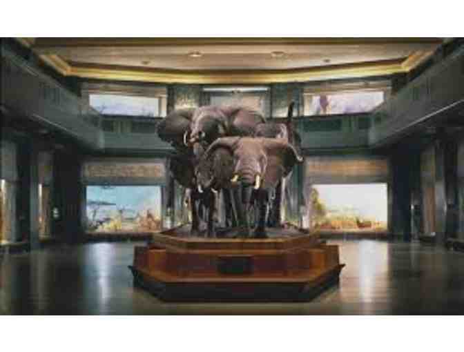 6 Admission Tickets to The American Museum of Natural History