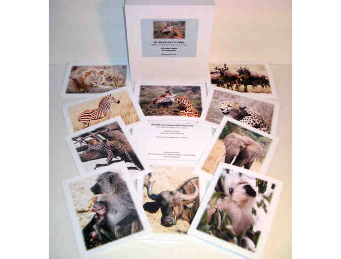 Wildlife Photography Note Cards - Set of 10