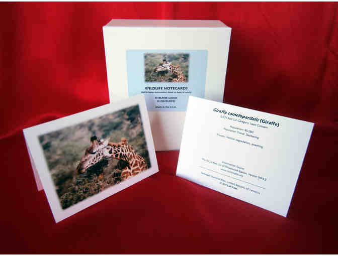 Wildlife Photography Note Cards - Set of 10