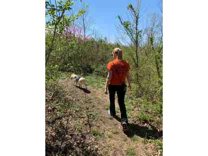 Take a Hike! Appalachian Trail Consult & Hike