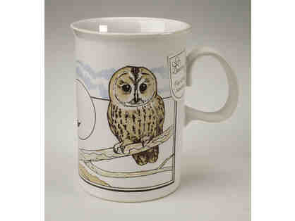 Vintage Dunoon Tawny Owl Mug