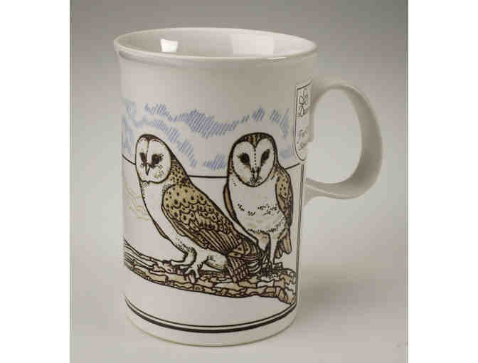 Vintage Dunoon Barn Owl or Tawny Owl Mugs, Set of 4 - Special Holiday Price