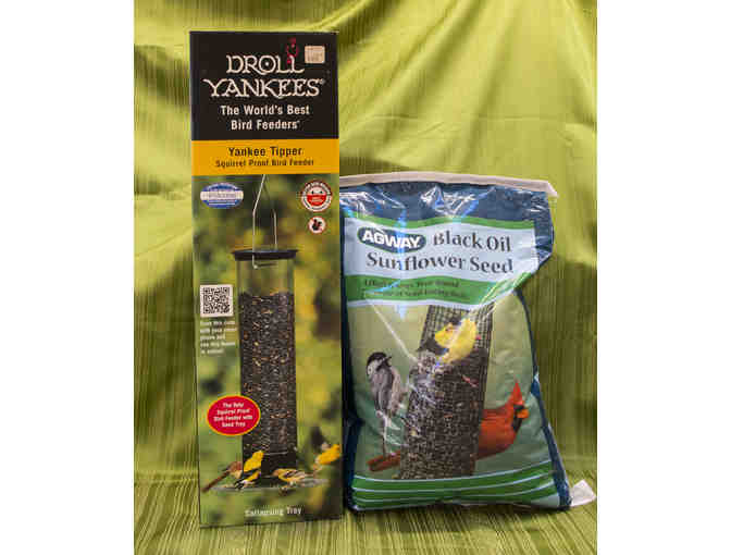 Droll Yankees Squirrel Proof Feeder & 20 lb. of Agway Black Oil Sunflower Seed