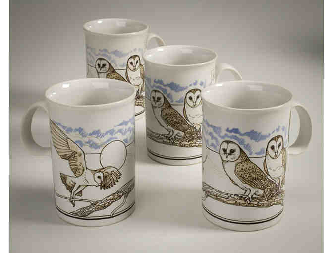 Vintage Dunoon Barn Owl and Tawny Owl Mugs, Mixed Set of 4 - Special Holiday Price