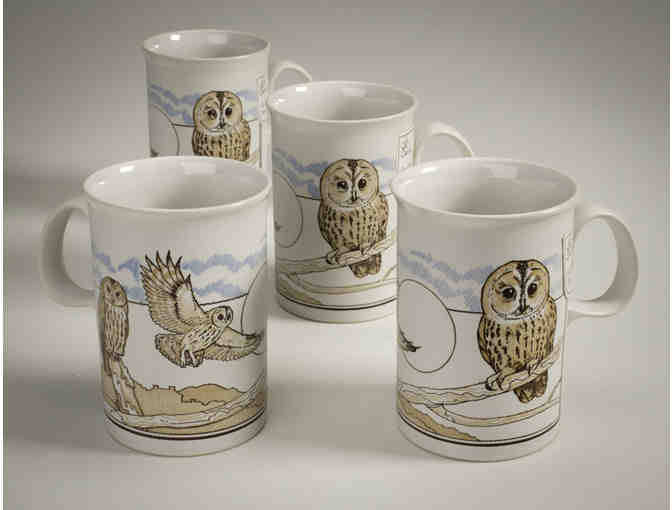 Vintage Dunoon Barn Owl and Tawny Owl Mugs, Mixed Set of 4 - Special Holiday Price