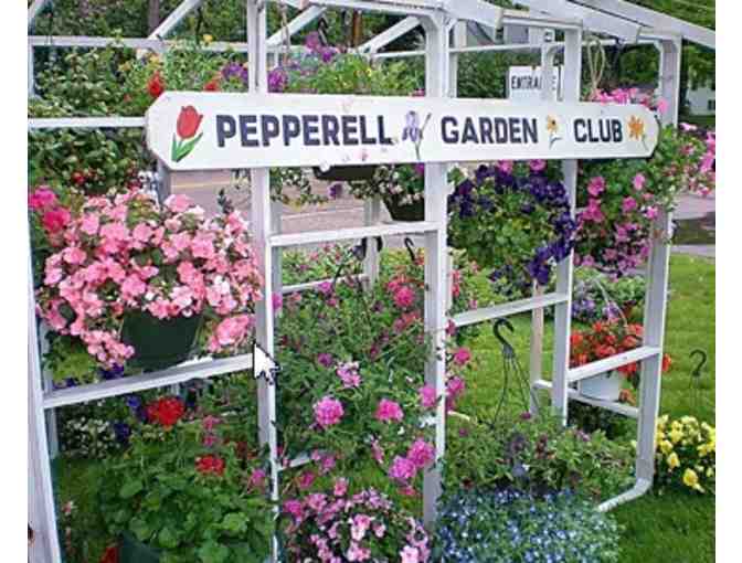 Pepperell Garden Club Plant Sale - $50 Gift Certificate