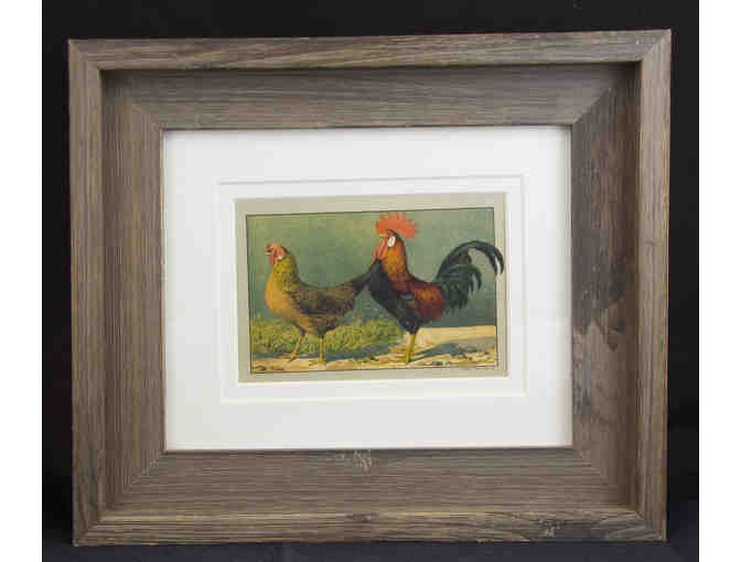 Antique German Chromolithograph Chicken Breed Prints, Set of Two Framed