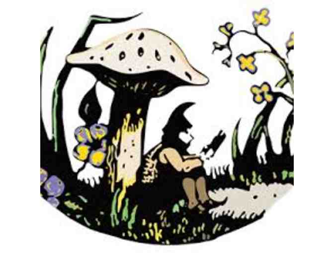 Toadstool Bookshops of NH - $30 Gift Certificate