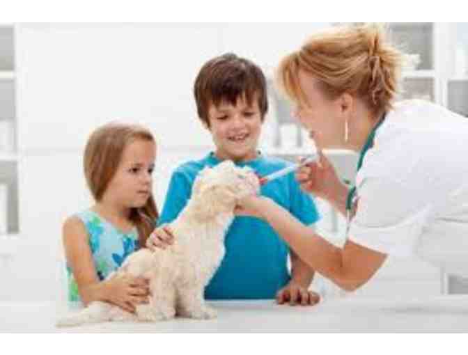 Lunenburg Veterinary Hospital, Lunenburg, MA - Gift Certificate for Pet Examination