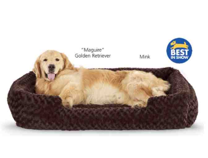 Animals Matter Katie Puff Chenille Ortho Dog Bed Lounger--You Choose Size and Color
