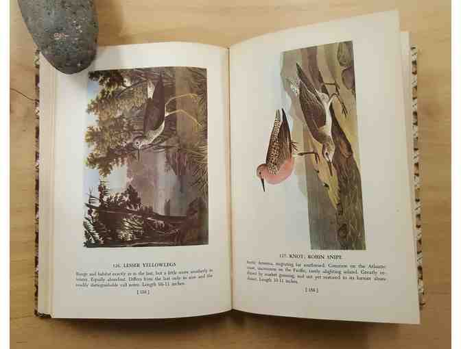 Audubon's Birds of America, 1950 'Popular Edition'