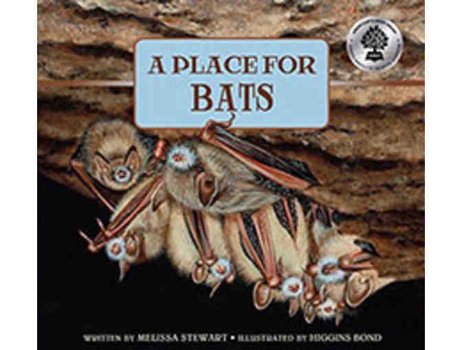 Nature Books for Children - Set of Four