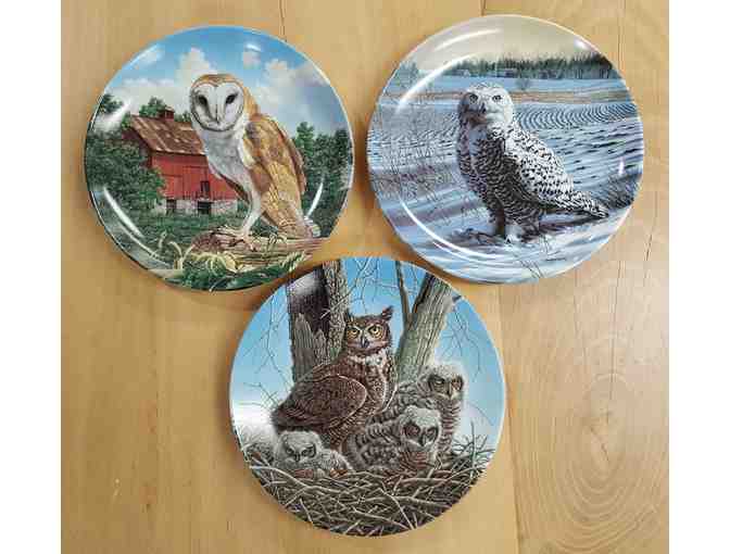 Bradford Exchange Collection 'Stately Owls' - Plates 1, 2, and 3