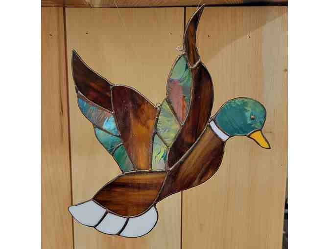 'Mallard Duck Taking Flight' - Stained Glass Hanger