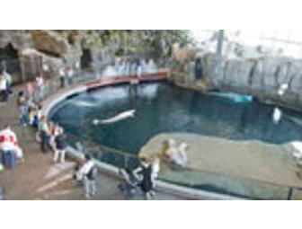 Shedd Aquarium - 15 VIP Passes and Penguin Plush Toy