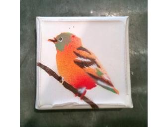 'Sparrow' by Datsun Tran