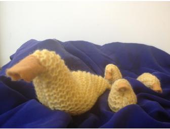 Duck & Ducklings with Blue Silk