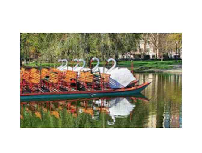Four Swan Boat Rides in the Boston Public Garden - Photo 1
