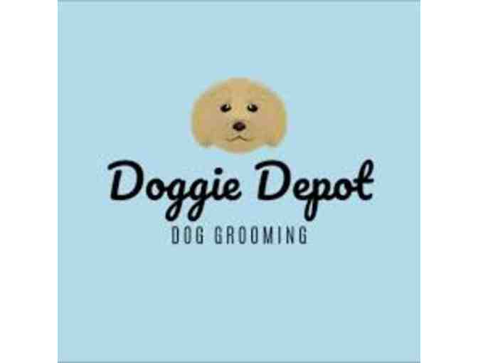 ONE Complete Dog Grooming - Doggie Depot Stamford, CT