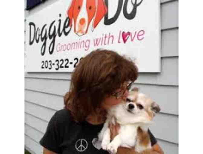ONE Complete Dog Grooming - Doggie Depot Stamford, CT