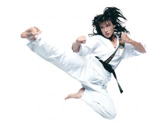 Karate/Kung Fu Lessons - 2 Weeks