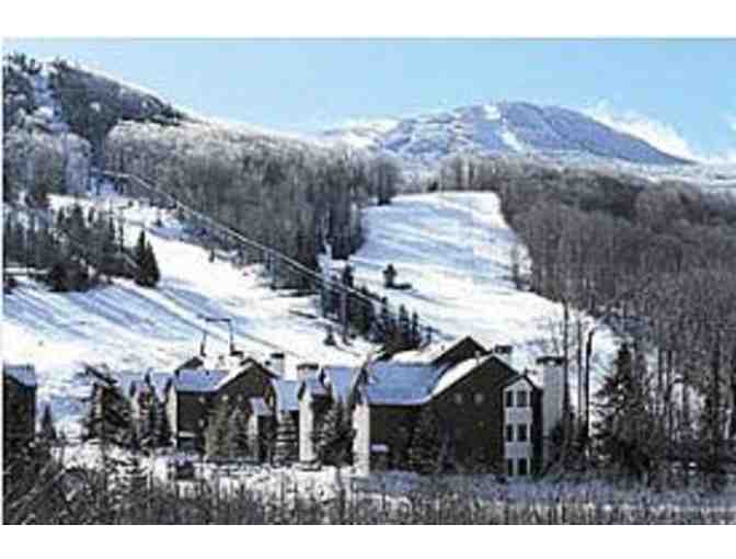 Pico (2) One Day Adult Lift Tickets