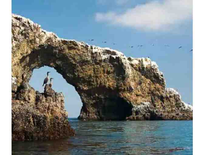 A Wildlife Cruise or Winter Whale Watch for 2 adults aboard Island Packers