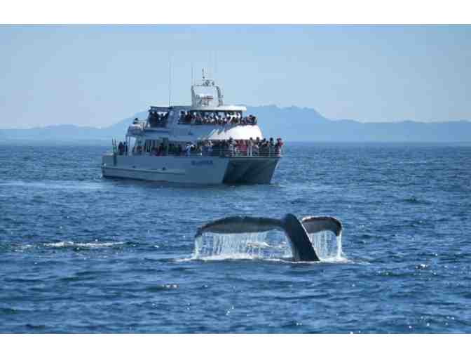A Wildlife Cruise or Winter Whale Watch for 2 adults aboard Island Packers