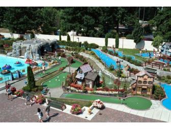 Family Fun Center $40 Gift Certifcate and a Large Pizza!