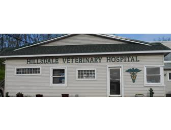 Veterinarian For a Morning:  Hillsdale Veterinarian Hospital