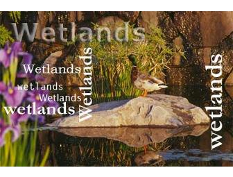 Visit the Oregon Garden in Silverton Oregon