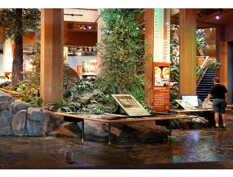 World Forestry Center:  Discovery Museum