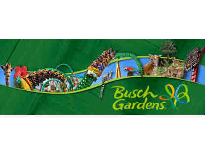 Two Single Day Tickets to Busch Gardens Tampa