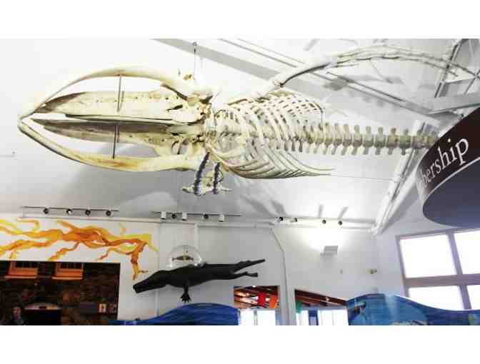 Seacoast Science Center Family Membership